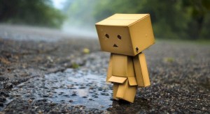 rainydanbo-534366-730x400