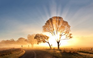 7019348-sunrise-morning-mist