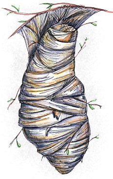 e739041a4181f801e1d5ca0fe10603c2