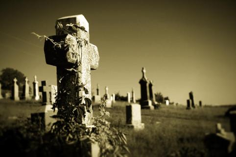 tombstone-ivy-timothy-bischoff